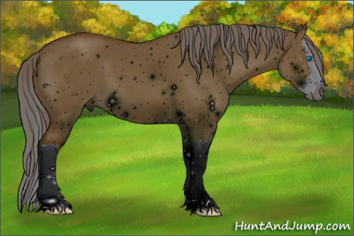 Horse Color: ERROR: UNKNOWN ANOMALY