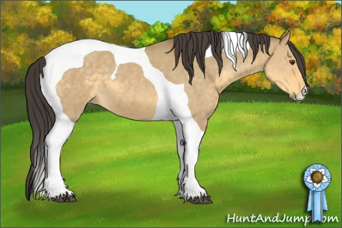 Horse Color: Buckskin Dun Tobiano 