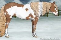 Horse Color:White Spotted Chestnut Frame 