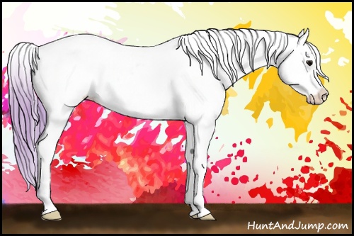 Horse Color: Watercolor Buckskin Roan Blanket 