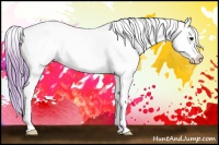Horse Color:Watercolor Buckskin Roan Appaloosa 