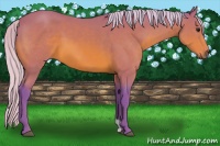 Horse Color:Watercolor Silver Bay