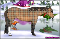 Horse Color:Plaid  Bay 