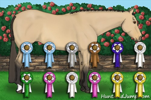 Horse Color: Buckskin Dun 