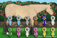 Horse Color:Buckskin Dun 