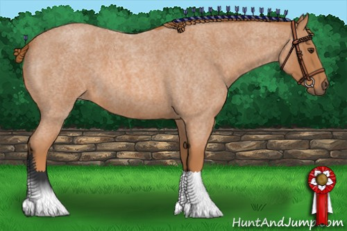 Horse Color: Red Roan 