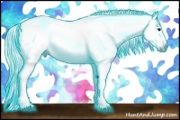 Horse Color:Gray Thunderstruck Bay 