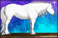 Horse Color:Gray Chestnut Ice 