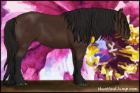 Horse Color:Gray Bay