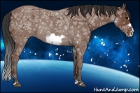 Horse Color:Bay Ice Frame 