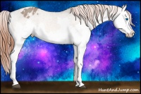 Horse Color:Bay Dun Splash Appaloosa Rabicano