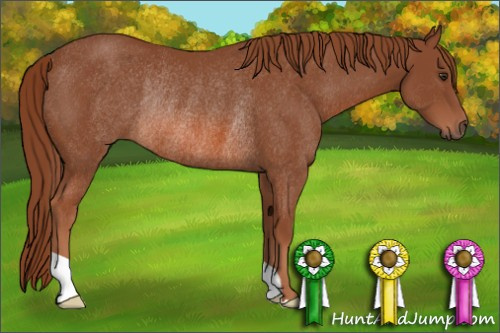 Horse Color: Liver Chestnut Rabicano 
