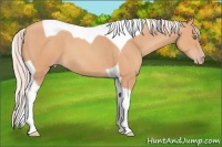 Horse Color:Silver Amber Champagne Tobiano 