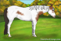 Horse Color:Bay Tobiano Frame 