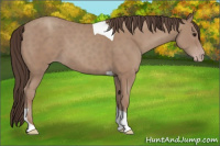 Horse Color:Classic Champagne Tobiano 