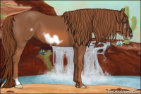 Horse Color:Liver Chestnut Frame 