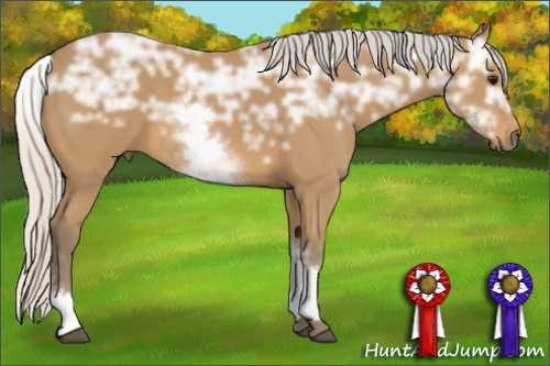 Horse Color: White Spotted Silver Buckskin Ice 