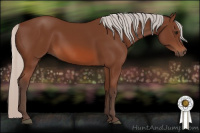 Horse Color:Silver Bay 