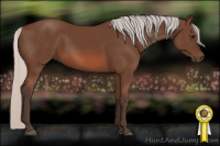 Horse Color:Silver Bay 