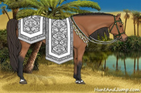 Horse Color:Bay Rabicano