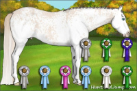 Horse Color:White Spotted Perlino Splash 