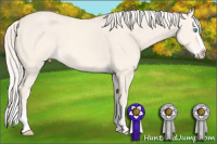 Horse Color:Cremello Dun Sabino Splash 