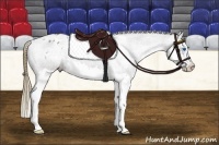 Horse Color:Smoky Blue Roan Splash Frame Appaloosa 