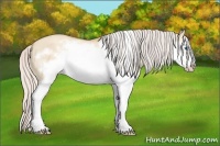 Horse Color:Silver Classic Champagne Dun Splash Frame 