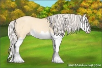 Horse Color:Silver Amber Champagne Dun Splash