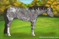 Horse Color:Smoky Black Ice 