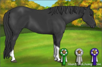 Horse Color:Black Tobiano 