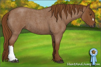 Horse Color:Gray Red Roan 