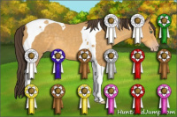 Horse Color:Amber Cream Champagne Tobiano 