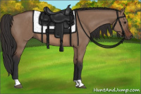 Horse Color:Brown Dun