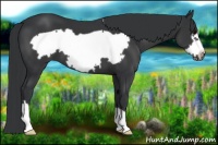 Horse Color:Black Frame 