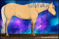Horse Color:Silver Buckskin 