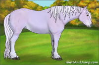 Horse Color:Watercolor Palomino 