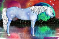 Horse Color:Gray Chestnut 