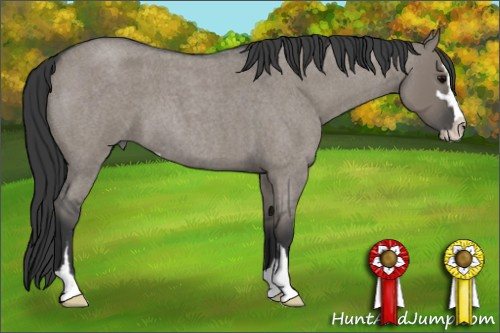 Horse Color: Grullo Roan Sabino 
