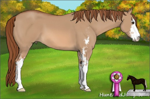 Horse Color: Red Dun Sabino 