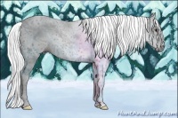 Horse Color:Gray Red Dun Roan 