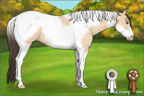 Horse Color: Amber Champagne Dun Tobiano Frame 