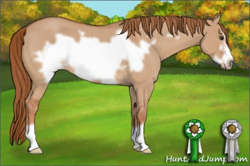 Horse Color: Red Dun Roan Frame 