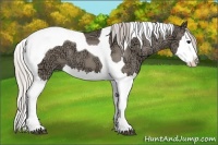 Horse Color:Silver Grullo Ice Splash Tobiano 