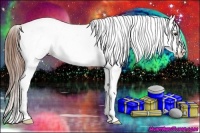 Horse Color:Red Dun Sabino Near Leopard 
