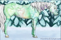 Horse Color:Gray Gold Champagne Tobiano 