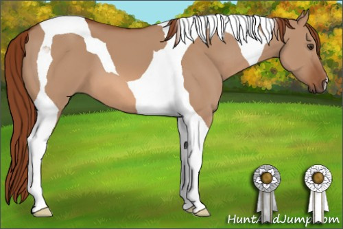 Horse Color: Liver Red Dun Tobiano 