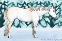 Horse Color:Gray Palomino Dun Frame 