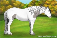 Horse Color:Grullo Roan Splash Tobiano 