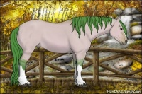 Horse Color:Watercolor Bay Dun 